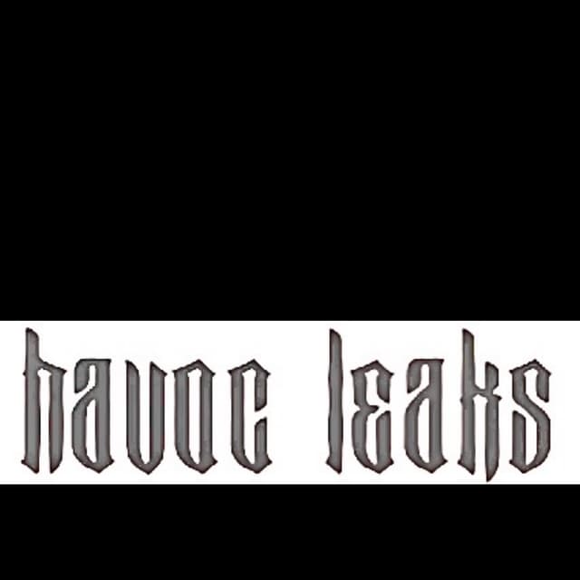 Havoc Leaks