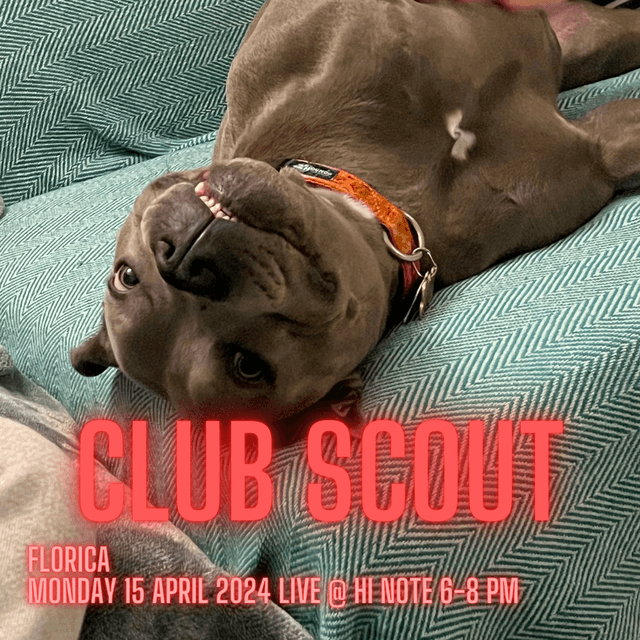 Club Scout