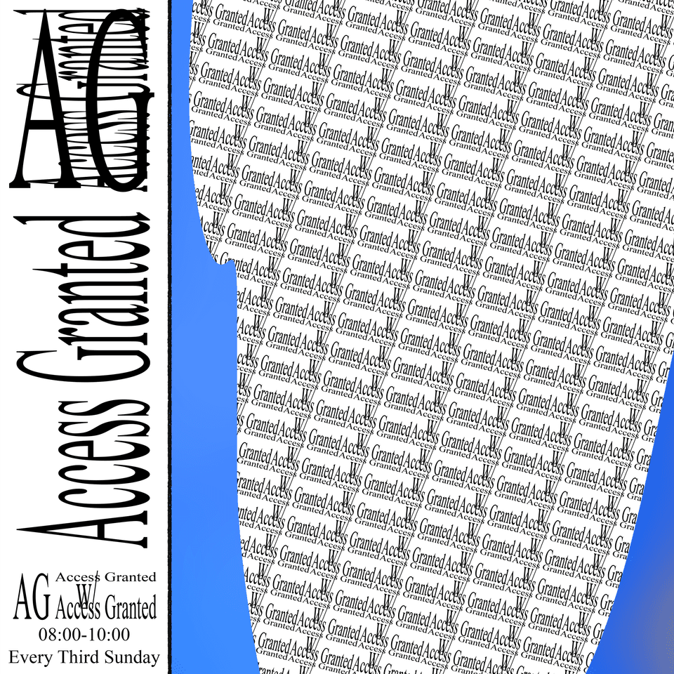 Access Granted 004